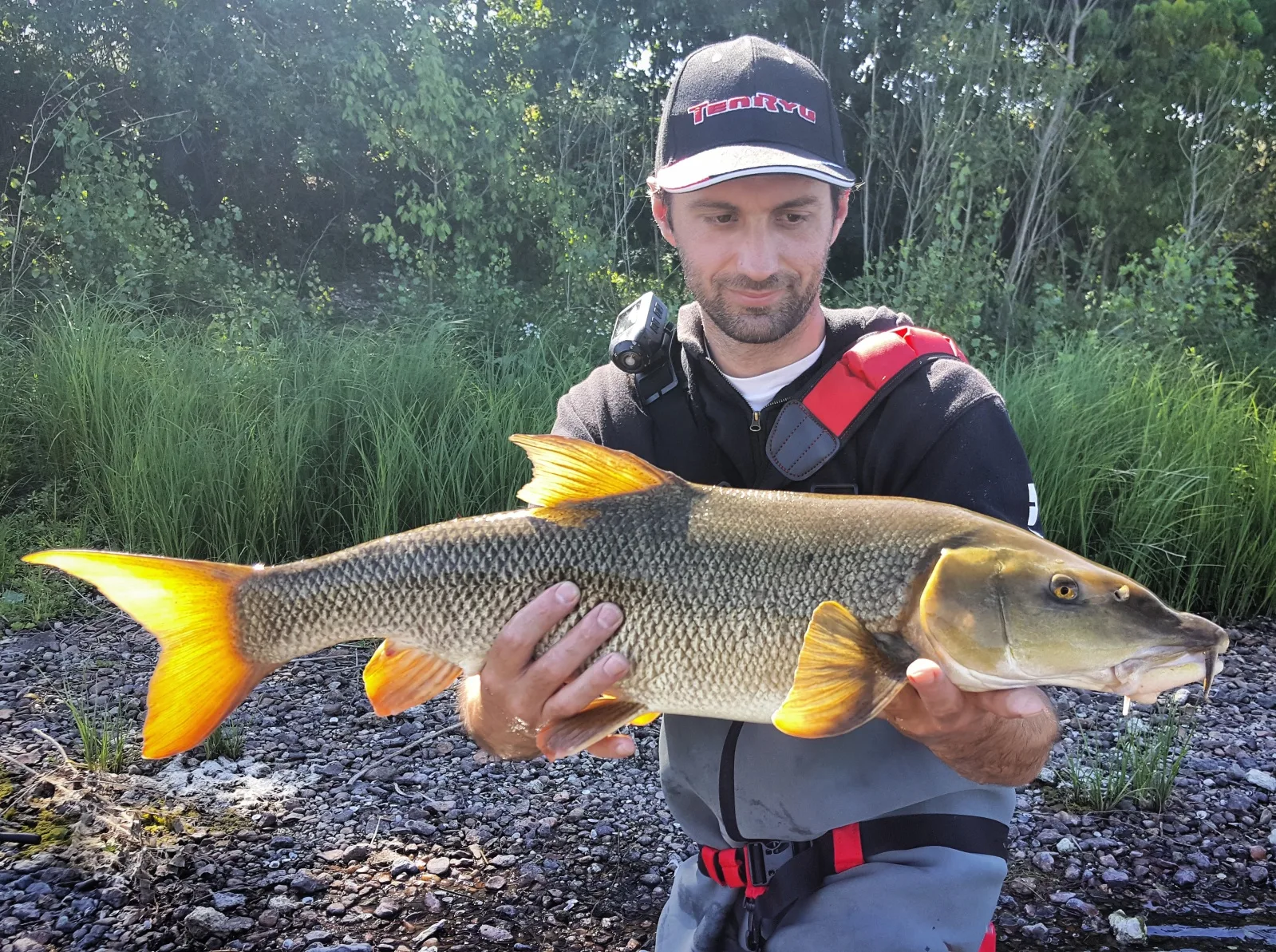 Beau barbeau pêché au leurre