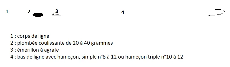 Pêcher le barbeau à la plombée coulissante
