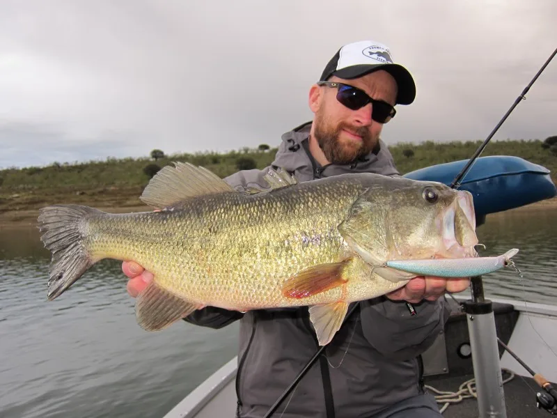 black-bass-en-Espagne