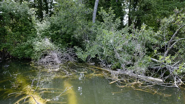 poste de pêche accidenté