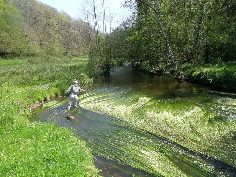 Pêcheur en prospection au bord de l'eau