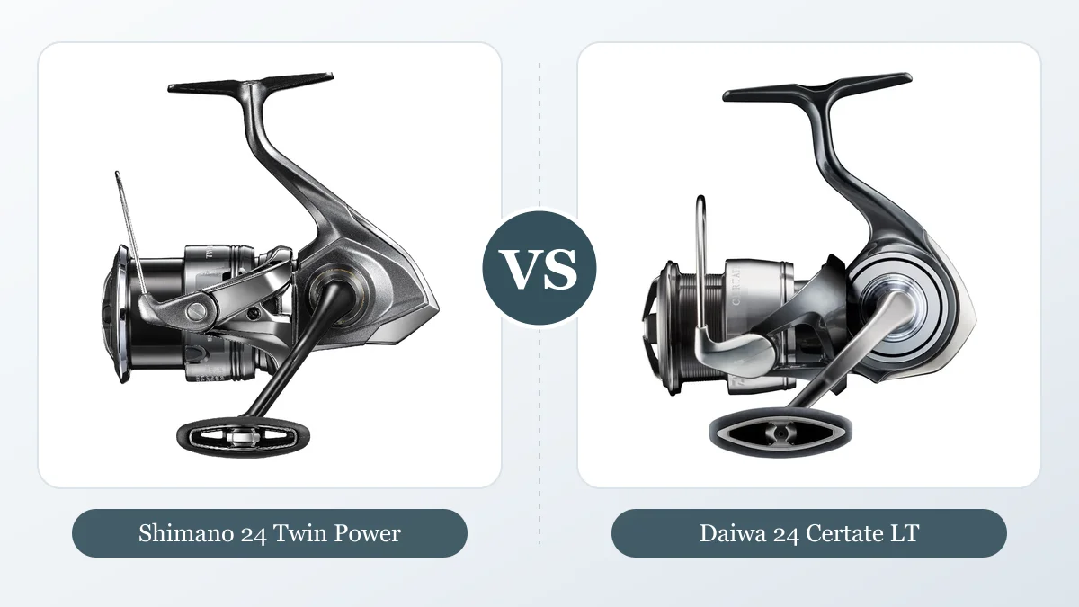 Moulinets Shimano 24 Twin Power et Daiwa 24 Certate LT face à face