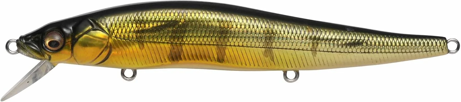 Megabass Vision Oneten coloris GG Perch