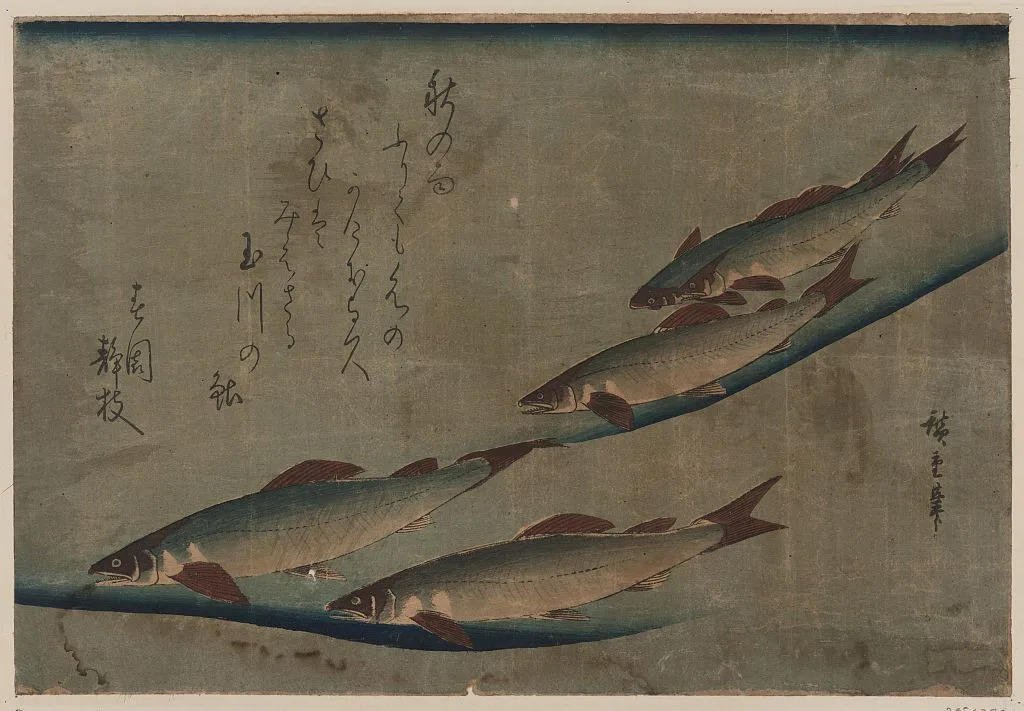 Estampe japonaise d'Utagawa Hiroshige representant des ayus dans le courant
