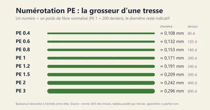 Infographie de l’échelle PE des tresses : de la PE 0.4 à la PE 3, chaque numéro dessiné à l’épaisseur de son diamètre indicatif, de 0,108 à 0,296 mm, avec sa valeur en deniers